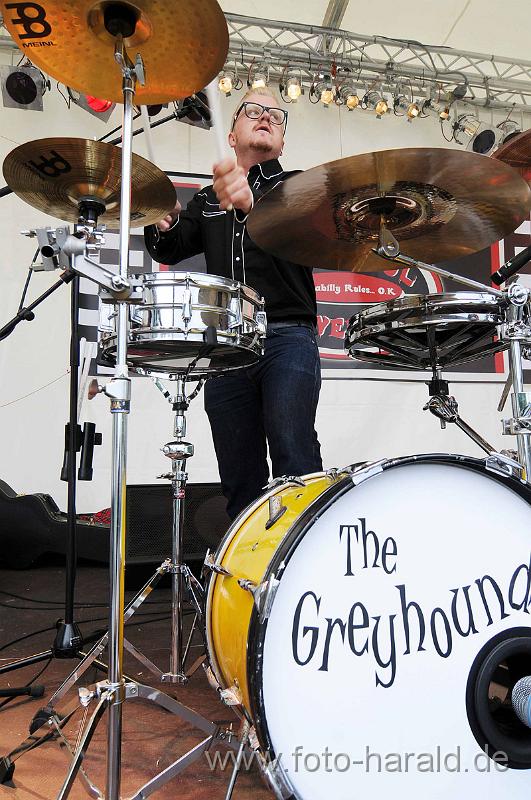 greyhounds 069.jpg